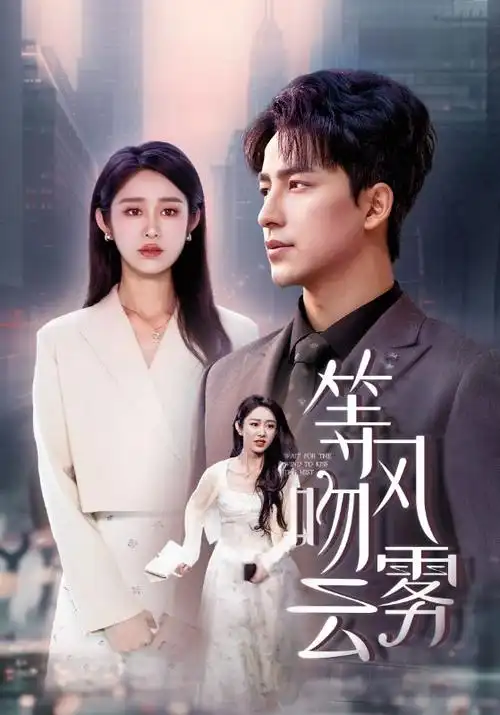 长夜织光 热播电视剧全集在线观看